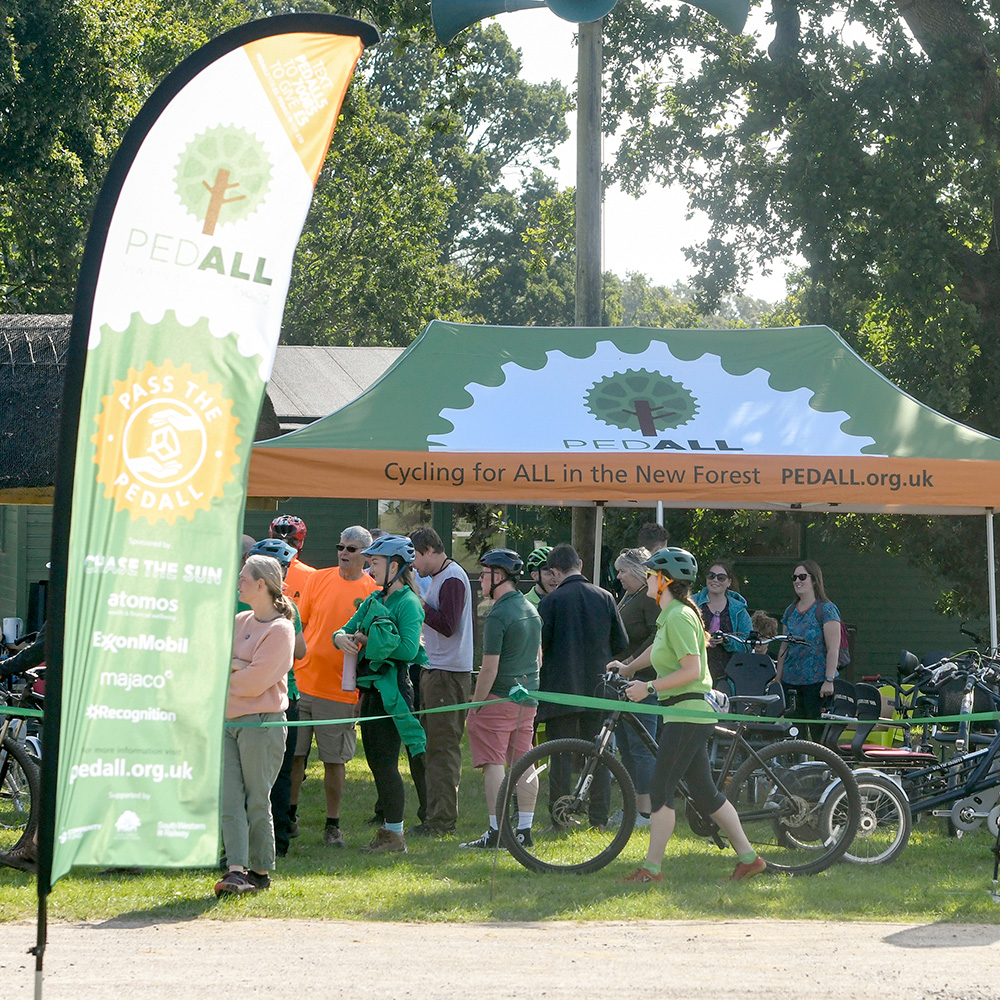 rennrad aufhngung Fahrrad Wandhalterung Johannes aus Holz von den Bicycledudes